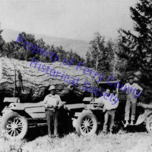Pine Log - P082322- © Ferry County Historical Society