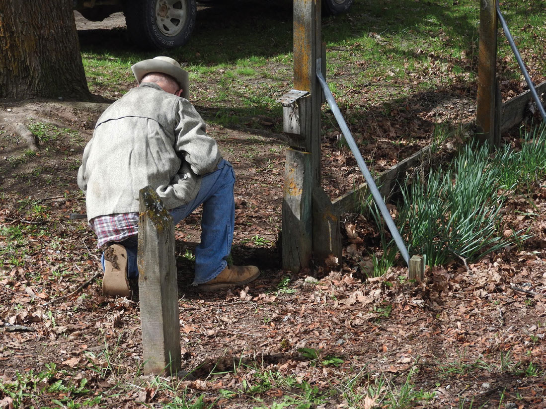 Volunteer Jay Jurgensen removes an old fence